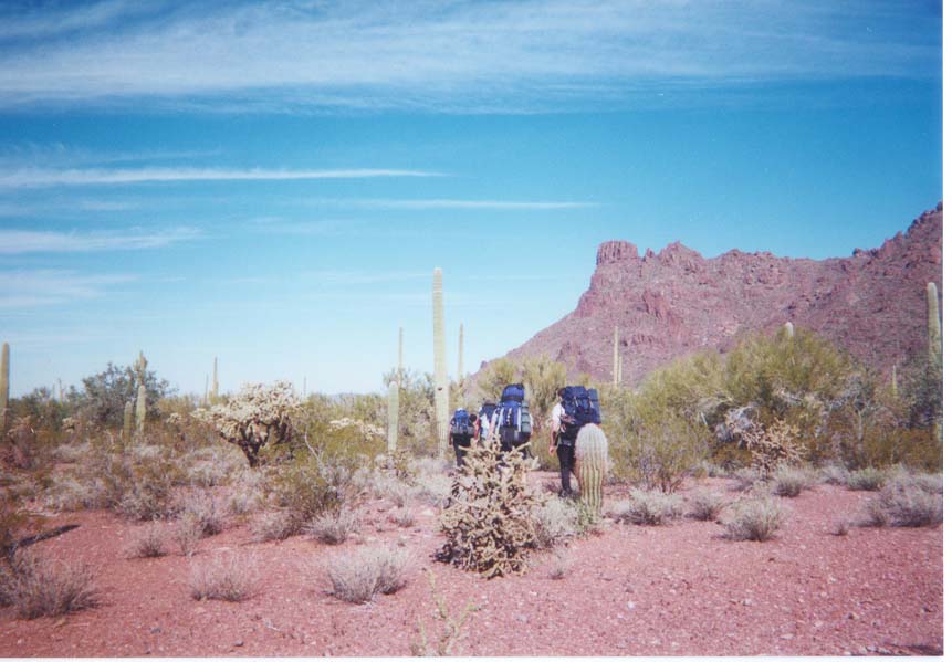 AZ003.jpg