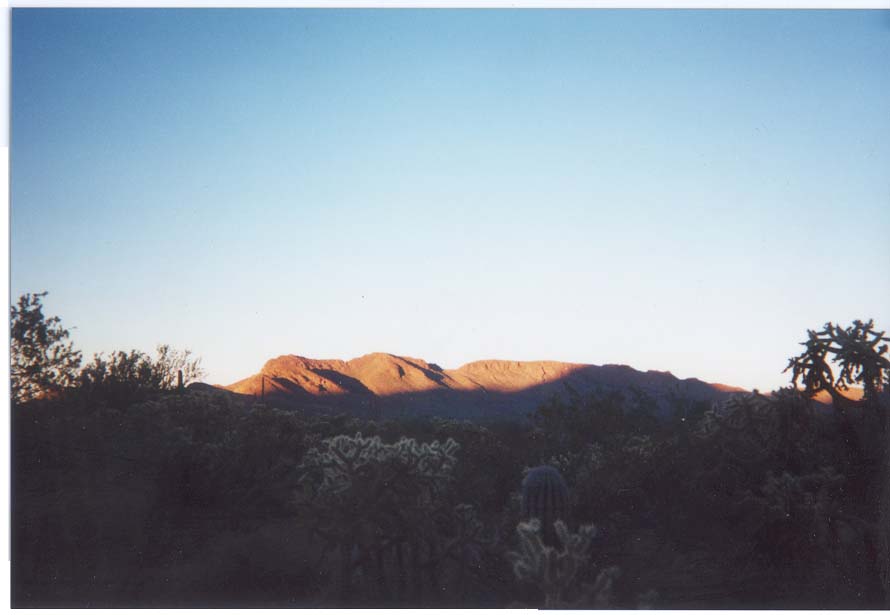AZ014.jpg