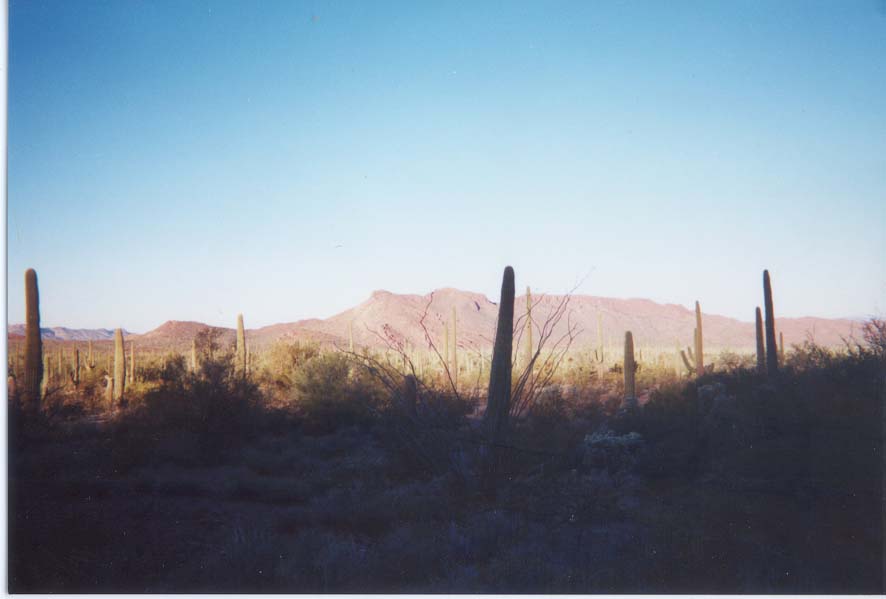 AZ015.jpg