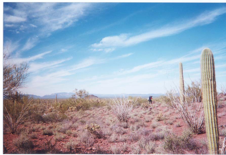 AZ004.jpg